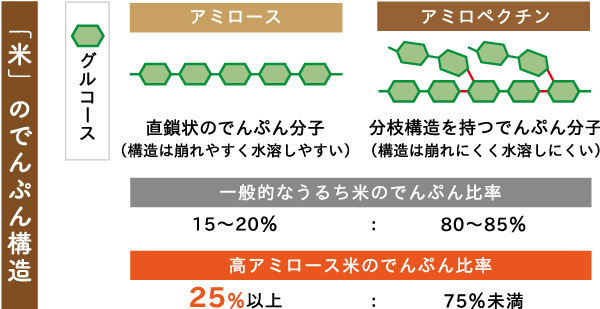 最高のフェラビデオ