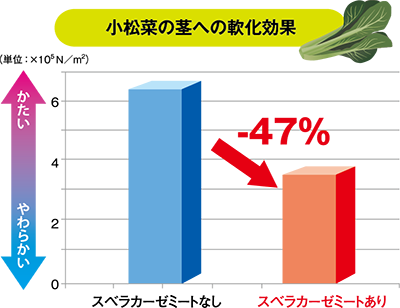 最高のフェラビデオ