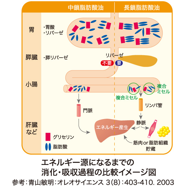 最高のフェラビデオ