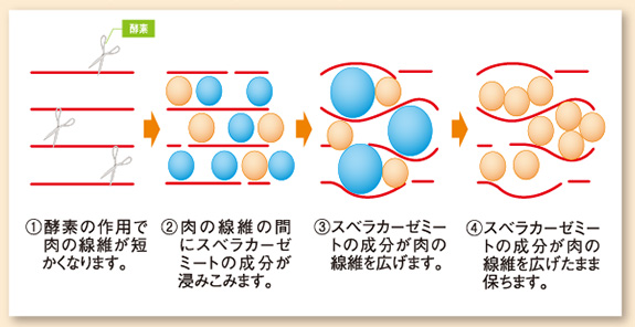 最高のフェラビデオ