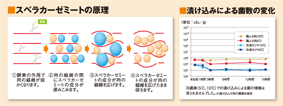 最高のフェラビデオ