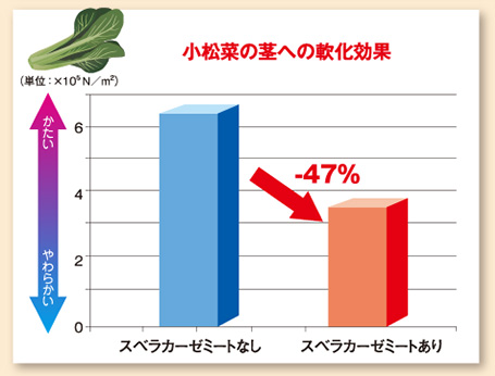 最高のフェラビデオ